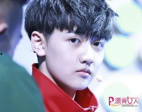 爆料娱乐圈焉栩嘉,揭秘明星背后的故事