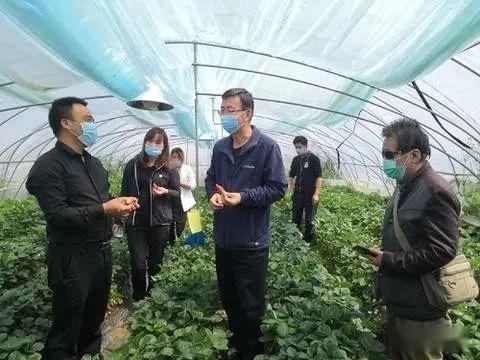 西北农林爆料最新消息今天,重大科研成果引发行业关注！”  第3张